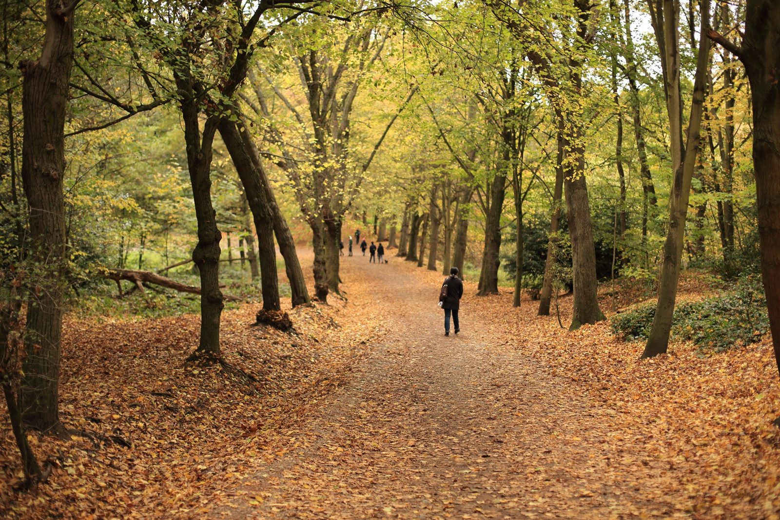 Hampstead, Swiss Cottage