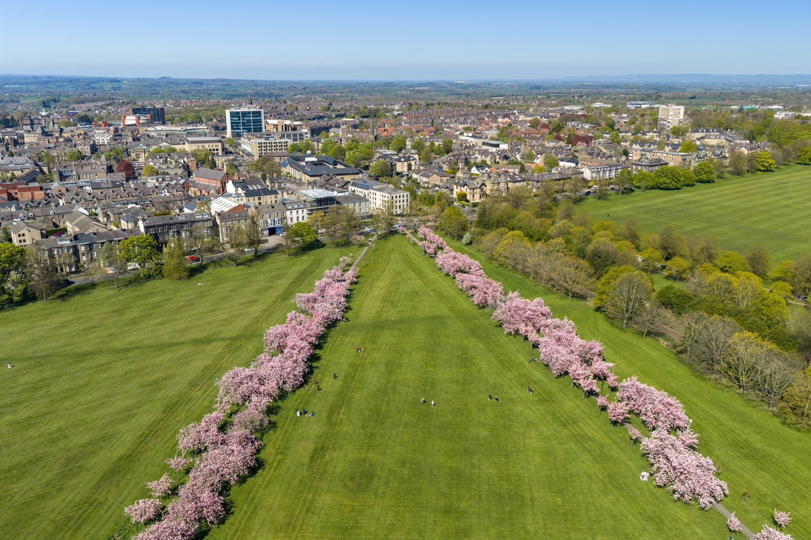 Harrogate, North Yorkshire