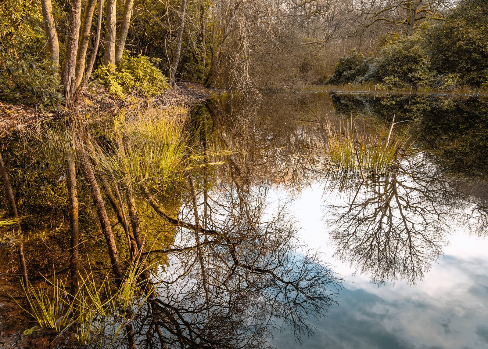 Harrow Weald