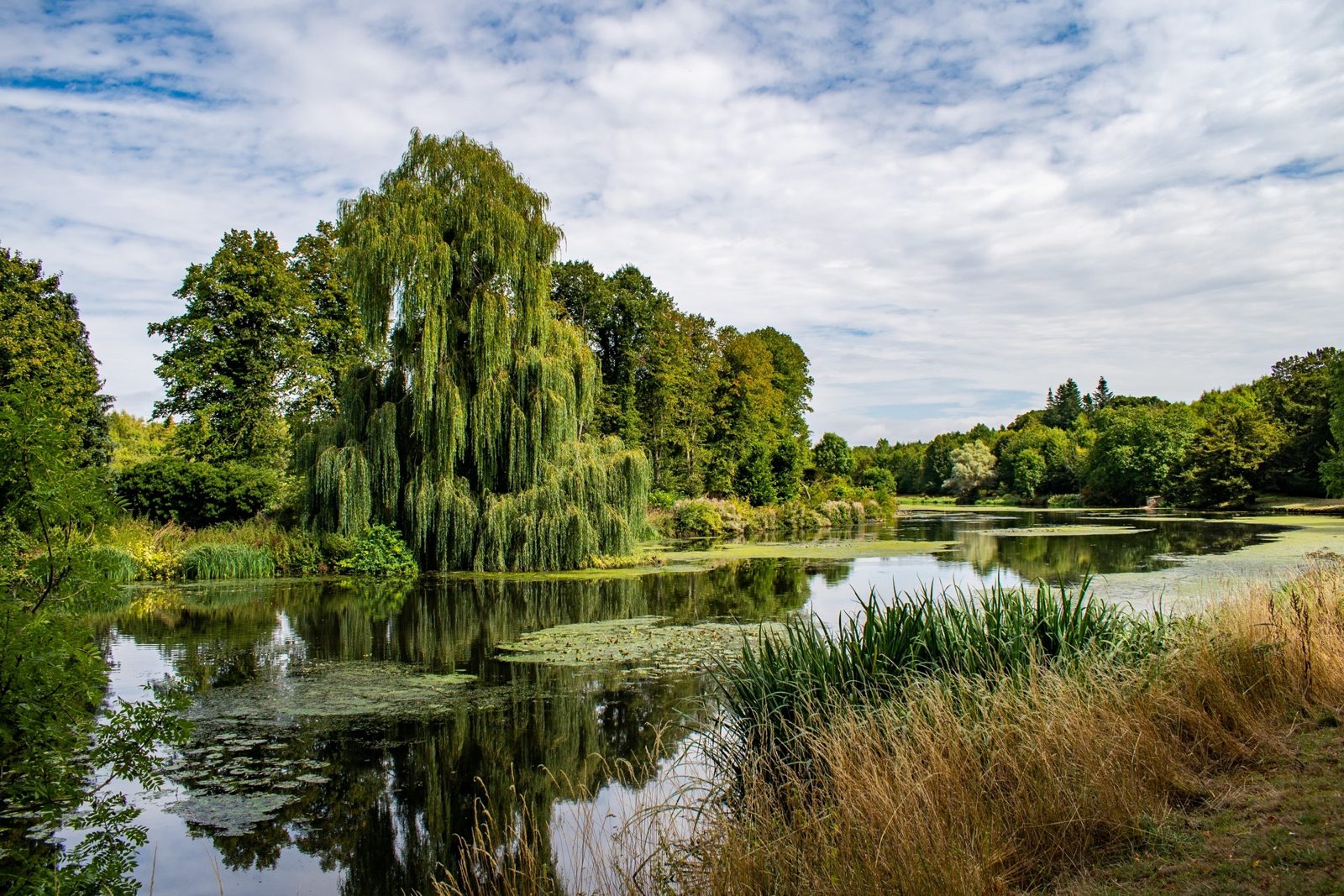 Hatfield, Hertfordshire