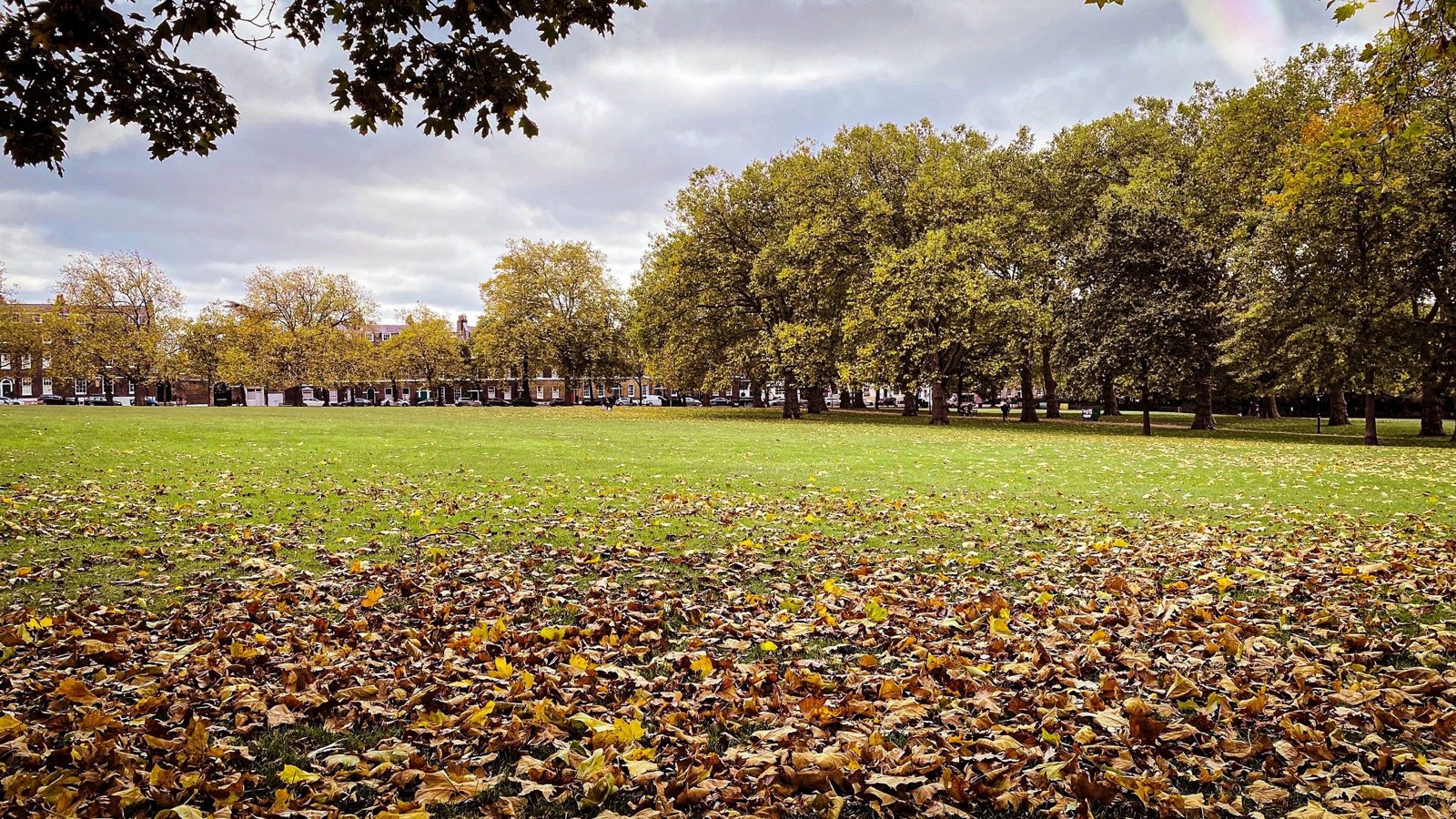 Highbury, Stoke Newington