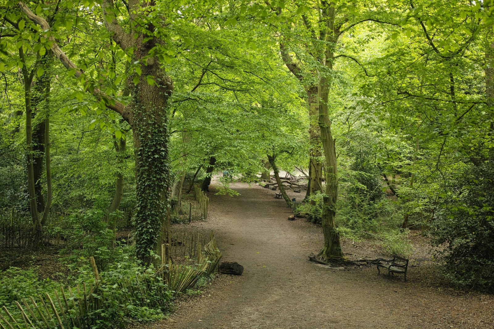 Highgate, Tufnell Park