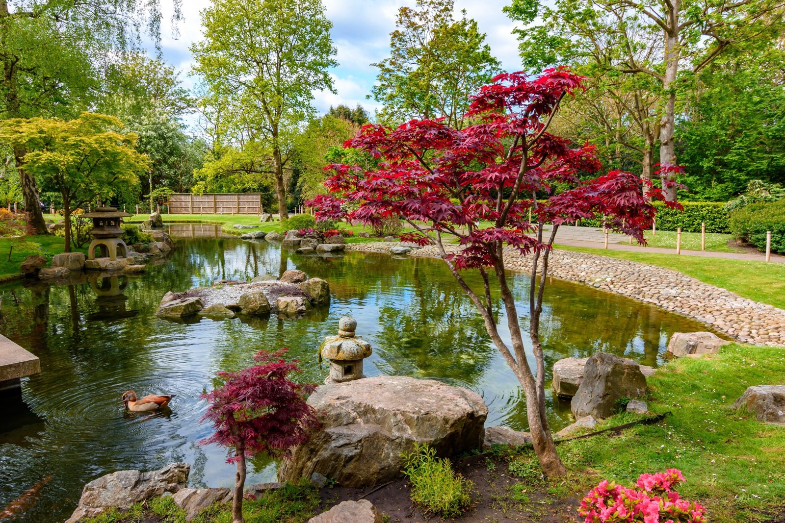 Holland Park, Bayswater