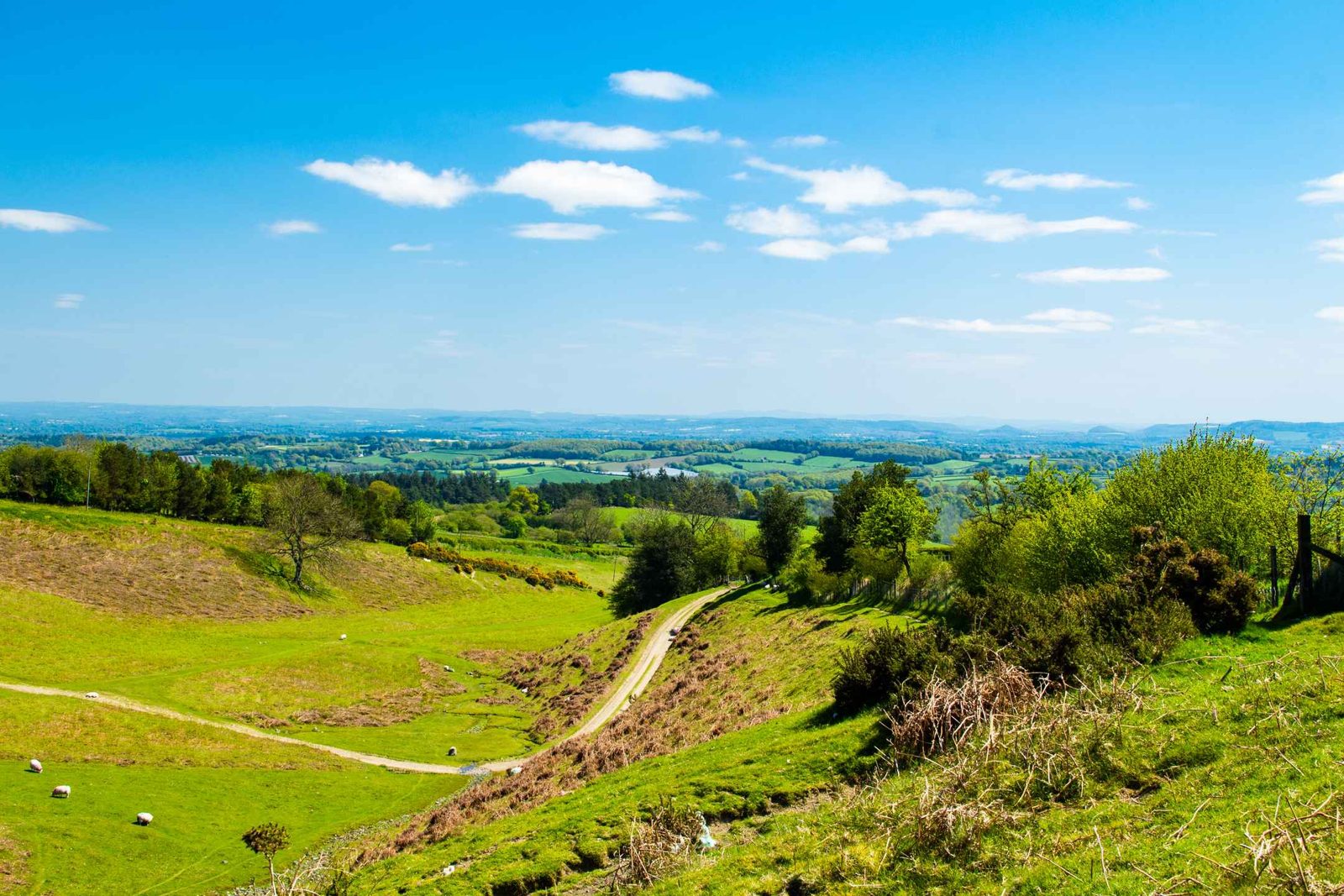 Kington, Presteigne