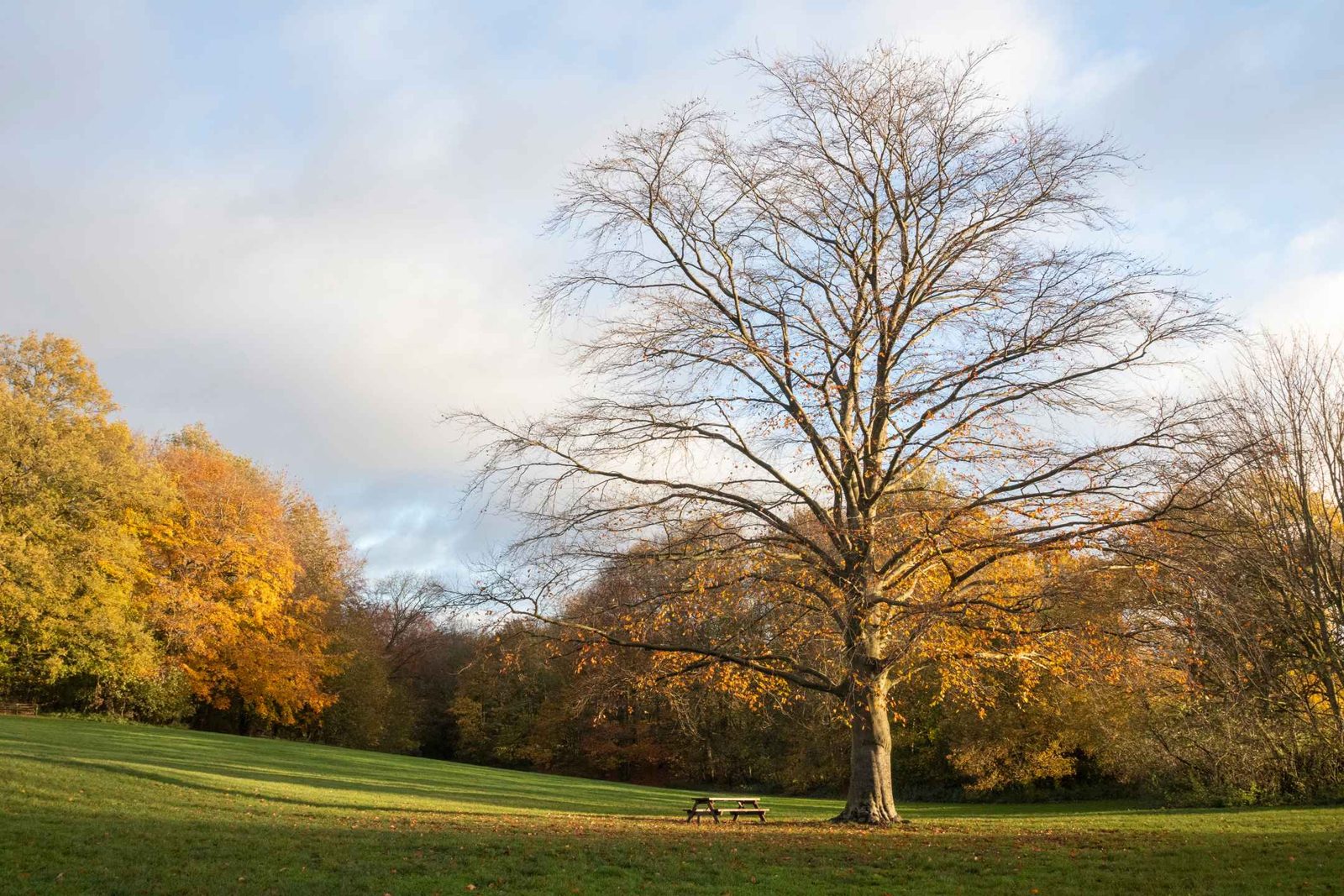 Langdon Hills, Pitsea