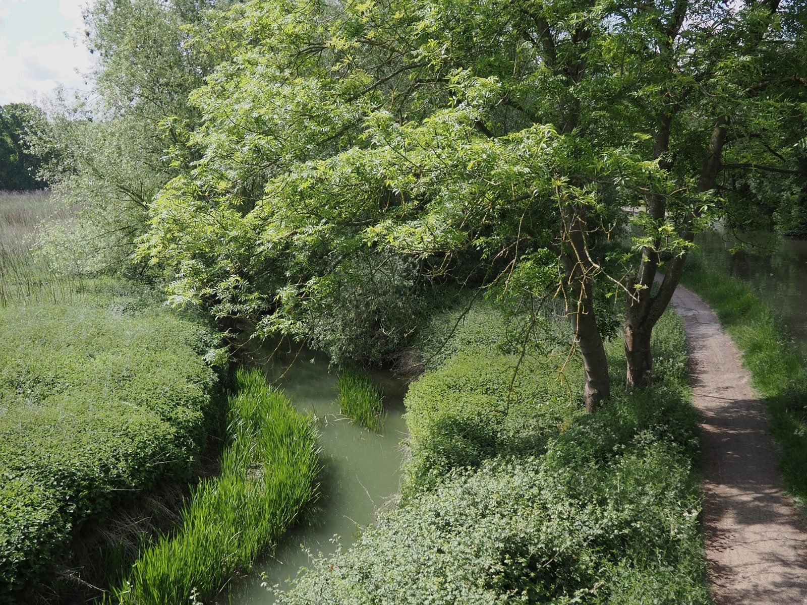 Leighton Buzzard, Bedfordshire