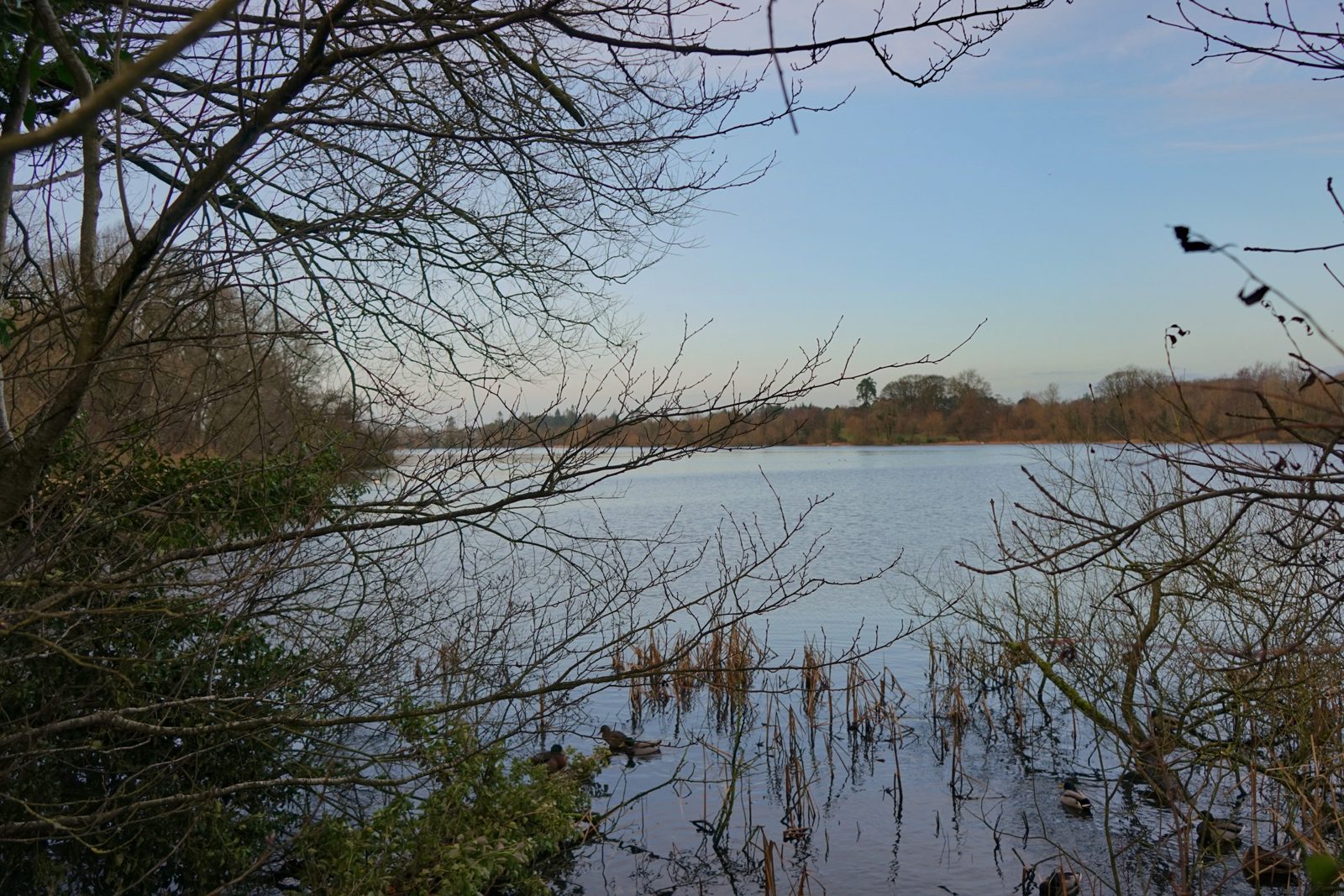 Lurgan, Craigavon