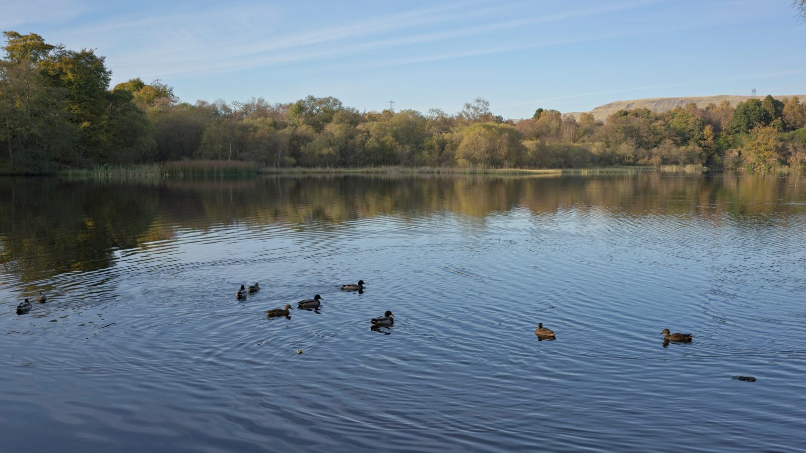 Milngavie, East Dunbartonshire