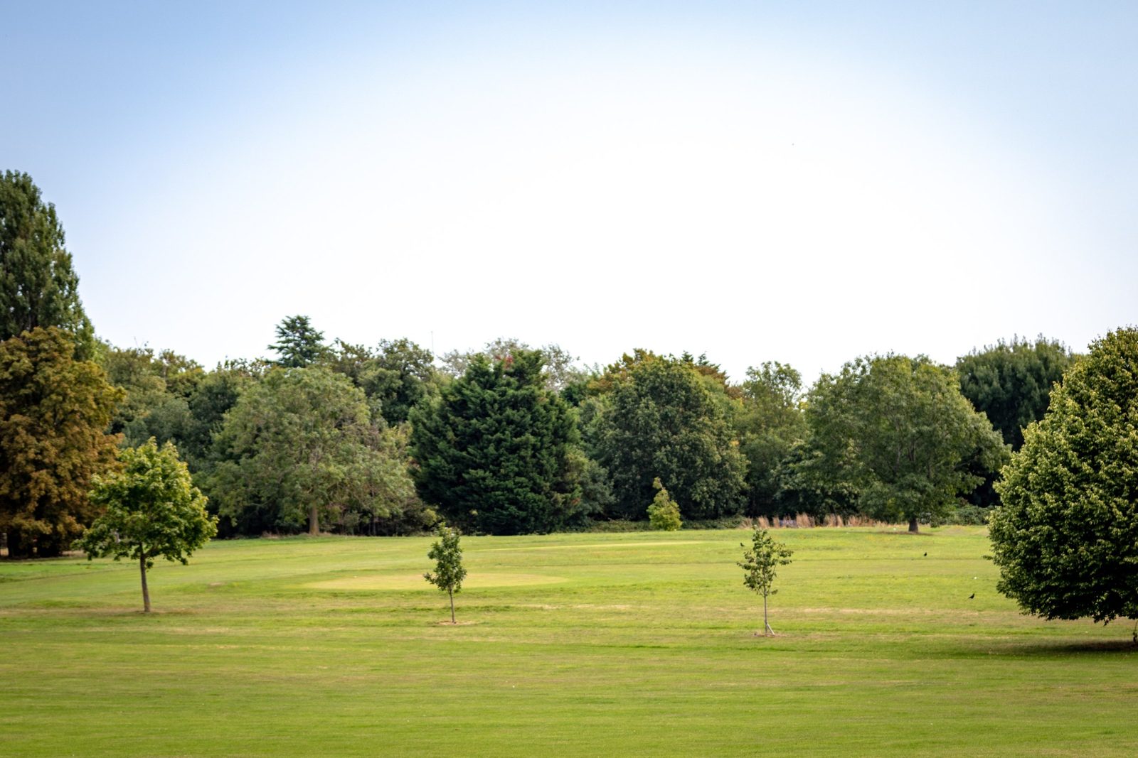 Morden Park