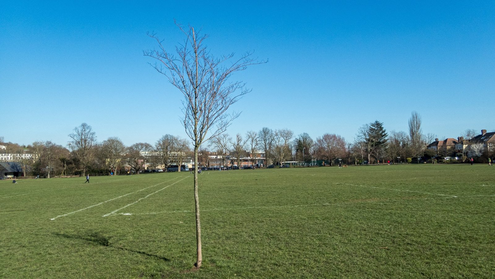 Peckham Rye