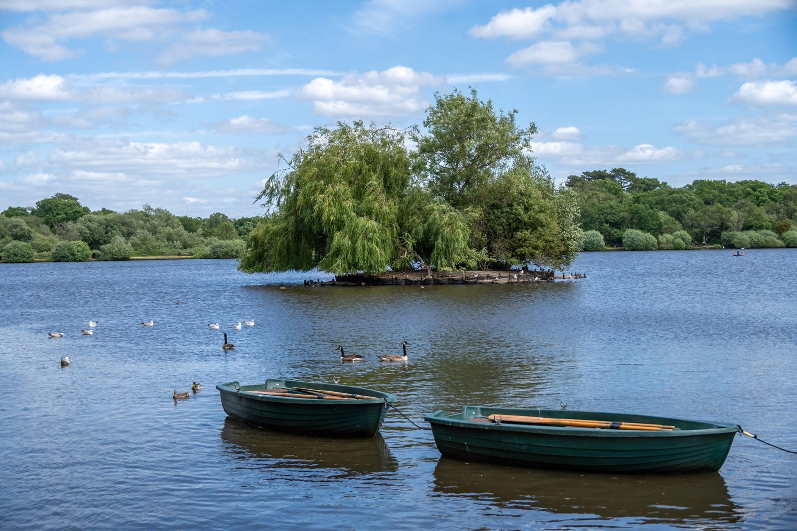 Petersfield, Midhurst