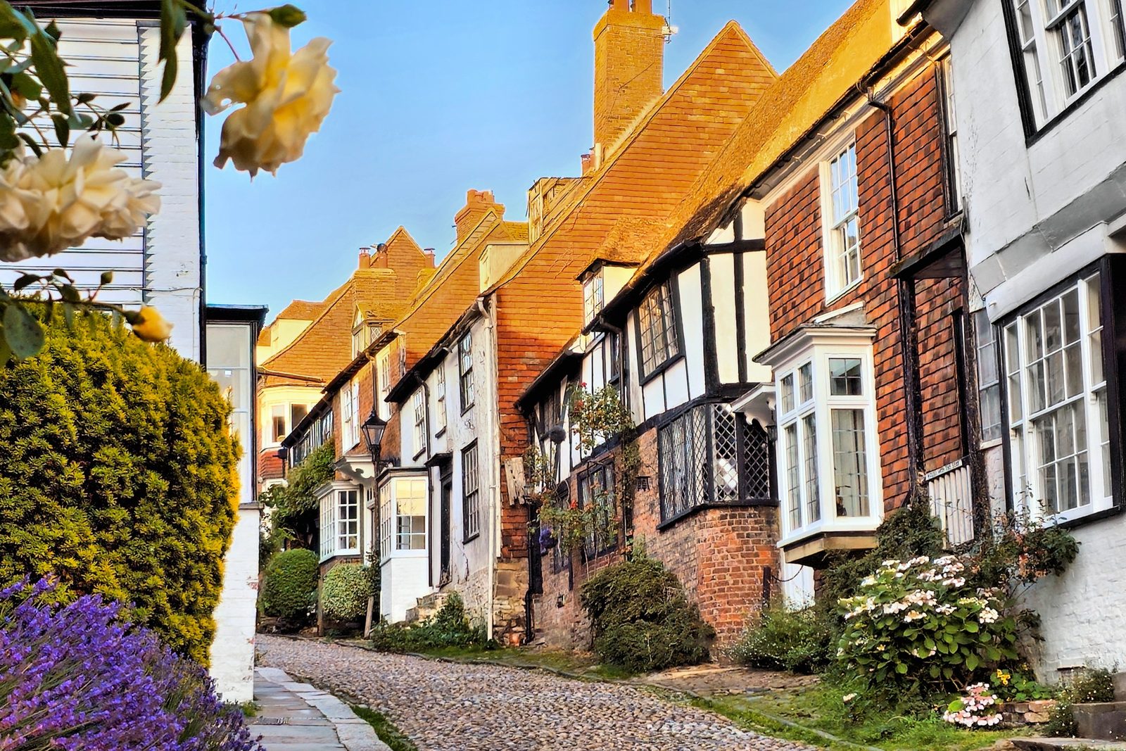 Rye, Tenterden