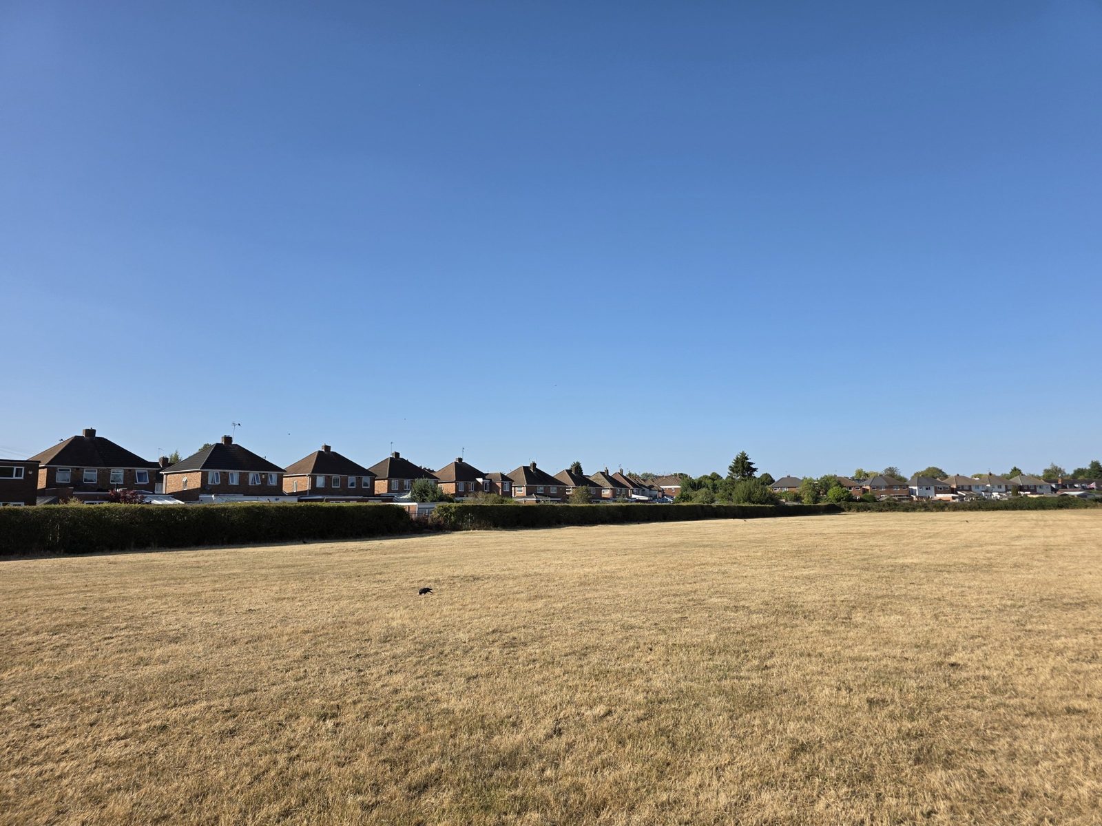 Sheldon, Wells Green