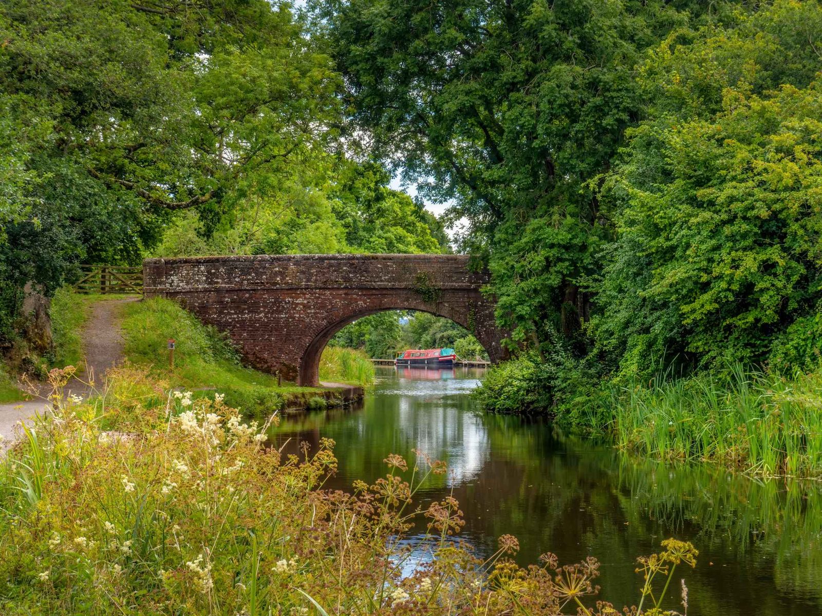 Tiverton, Bradninch