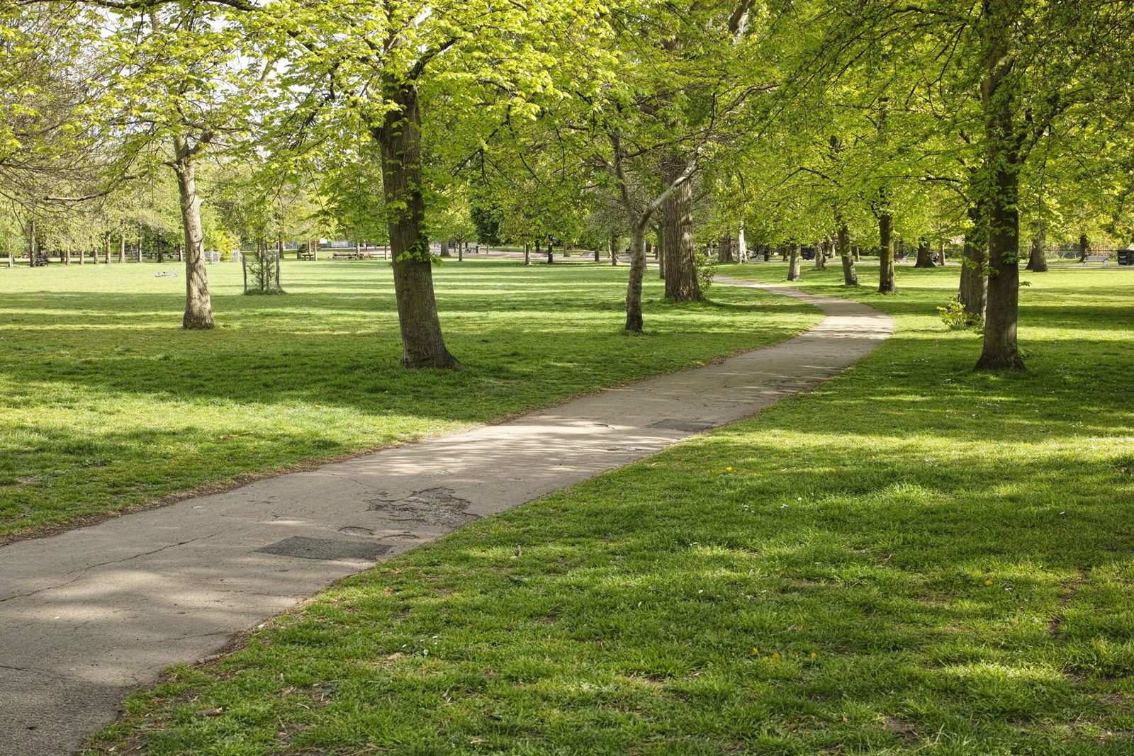 Victoria Park, Hackney Central