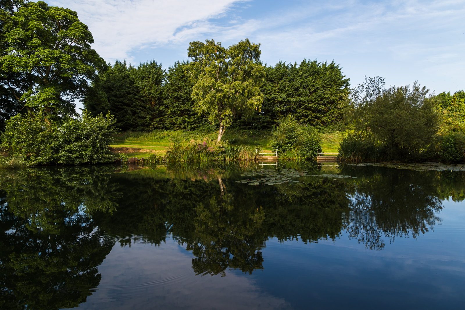 Watton